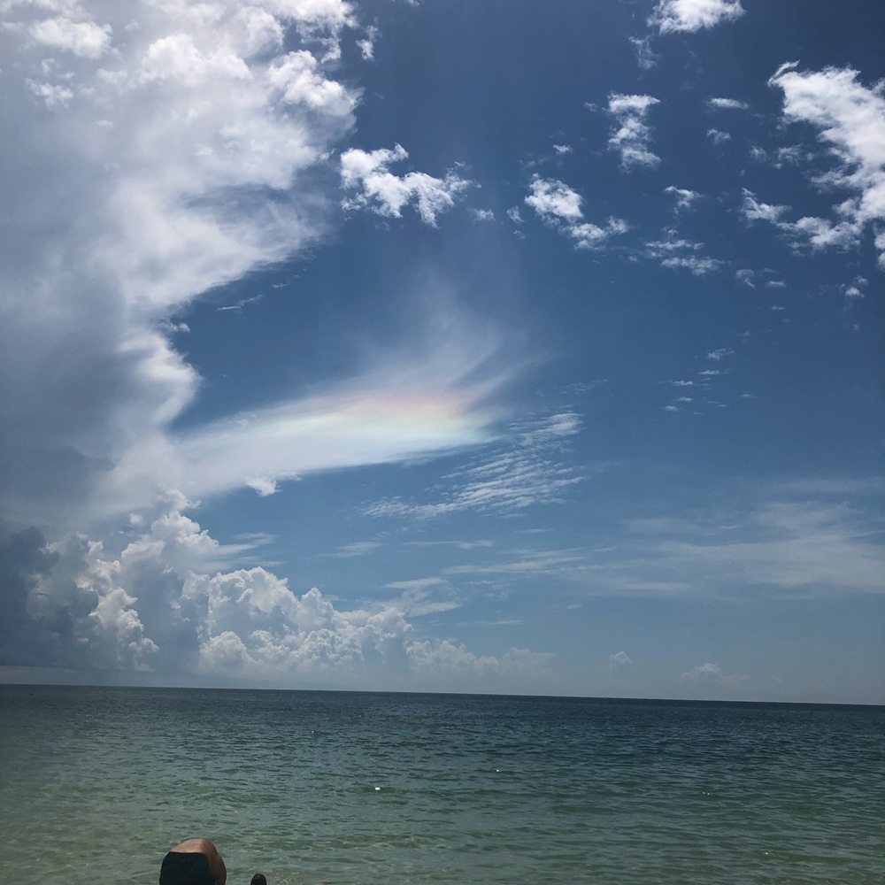 Meet your Posher, Rhonda